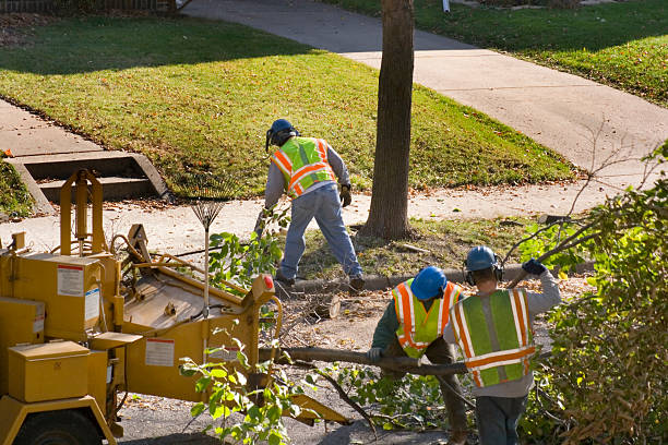 Best Lawn Irrigation Installation and Maintenance  in Costa Mesa, CA